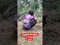 asik mikirin hutang kita preng dari belakang kaget dia guru😄 #sawitan