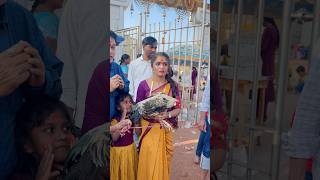 జంతు బలి చేస్తే.. నిజంగా మంచి జరుగుతదా ☹️😔 #viral #shortvideo #minivlog #shorts #short #viralvideo