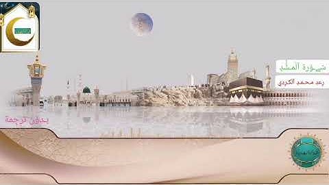 سورة المسد بصوت الشيخ رعد محمد الكردى (بدون ترجمه)