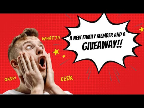 New Family Member Announcement along with a GIVEAWAY German Shorthaired Pointers & Overlanding Dogs!