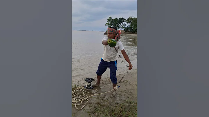 Papaya bait throwing in River side for shark #bait #fishing