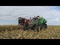 Cosecha de maíz || Febrero 2021 Entre Ríos, Gualeguaychú