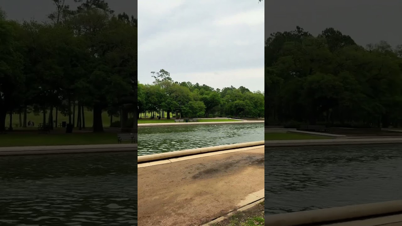 Beauty  places in park Houston USA 🇺🇸