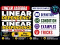 Linear  Dependence And Linear Independence | Linear Algebra | Concept &amp; Examples | BSc Maths Hindi