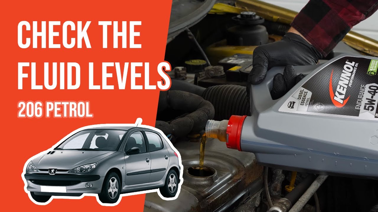 How to check the fluid levels Peugeot 206 1.4 8V 📏 - YouTube