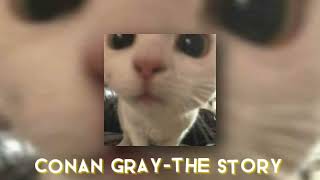 Conan gray-The story(sped up)
