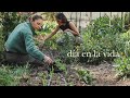 Un da de abril plantando nuestra comida  la huerta de primavera y tortitas de masa madre