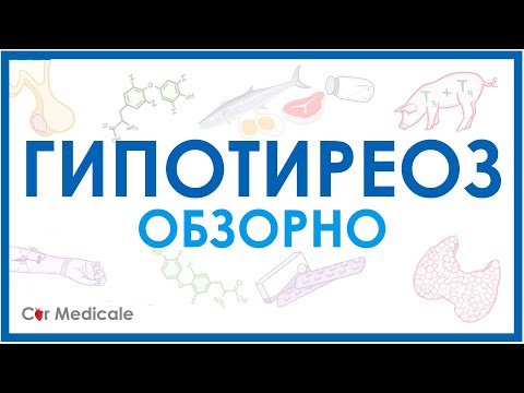 Гипотиреоз обзорно: механизм развития, основные симптомы, принципы лечения