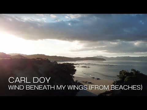 Steve Petrunak - Wind Beneath My Wings (Instrumental Version)