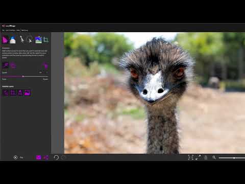 DIY: Animate feathers