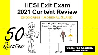 HESI Exit Endocrine Nursing Review ADRENAL GLAND PASS NCLEX RN and NCLEX PN QBankPro