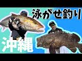 沖縄で巨大カンパチ・ミーバイを釣り上げる!【泳がせ釣り】