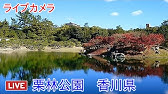 ライブカメラ アップかんなべ スキー場 Livecamera Up Kannabe Ski Resort Hyogo Japan Youtube