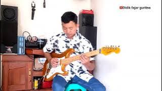 GULU PEDOT GUITAR INSTRUMENT COVER
