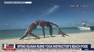 Video Iguana Bite Ruins Womans Yoga Pose