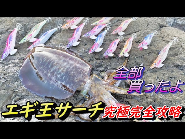 エギング｣フルコンプニキが語る今年発売のエギ王サーチの完全攻略！全