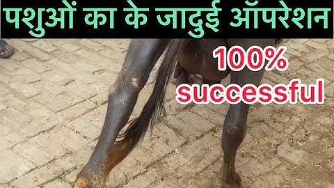 MPD l upward fixation of the patella l dr umar khan