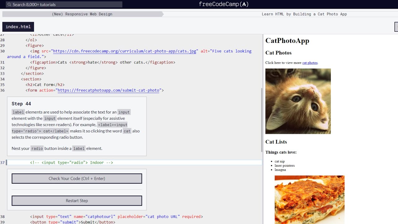 (New) Responsive Web Design Steps Cat Photo App Steps 38-44|Day 408 of ...