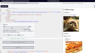 (New) Responsive Web Design Steps Cat Photo App Steps 38-44|Day 408 of Web Dev