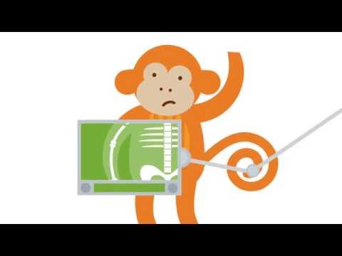 Giraffe Auto Insurance