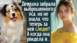 :    ,   ,     !      