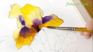 [𝑓𝑙𝑜𝑤𝑒𝑟𝑑𝑎𝑙] 다정한 노란색 붓꽃, 아이리스 꽃 수채화 𝑖𝑟𝑖𝑠 𝑓𝑙𝑜𝑤𝑒𝑟, 𝑤𝑎𝑡𝑒𝑟𝑐𝑜𝑙𝑜𝑟 𝑣𝑖𝑛𝑡𝑎𝑔𝑒 𝑓𝑙𝑜𝑤𝑒𝑟 𝑝𝑎𝑖𝑛𝑡𝑖𝑛𝑔 𝑎𝑛𝑑 𝑑𝑟𝑎𝑤𝑖𝑛𝑔