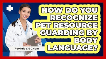 How Do You Recognize Pet Resource Guarding By Body Language? - PetGuide360.com