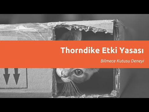 Thorndike Etki Yasası / Bilmece Kutusu Deneyi (Türkçe Altyazı)