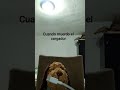 cuando muerdo el cargador