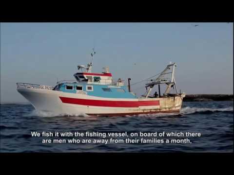 Рыбное хозяйство | переработка рыбы и морепродуктов | Италия  |