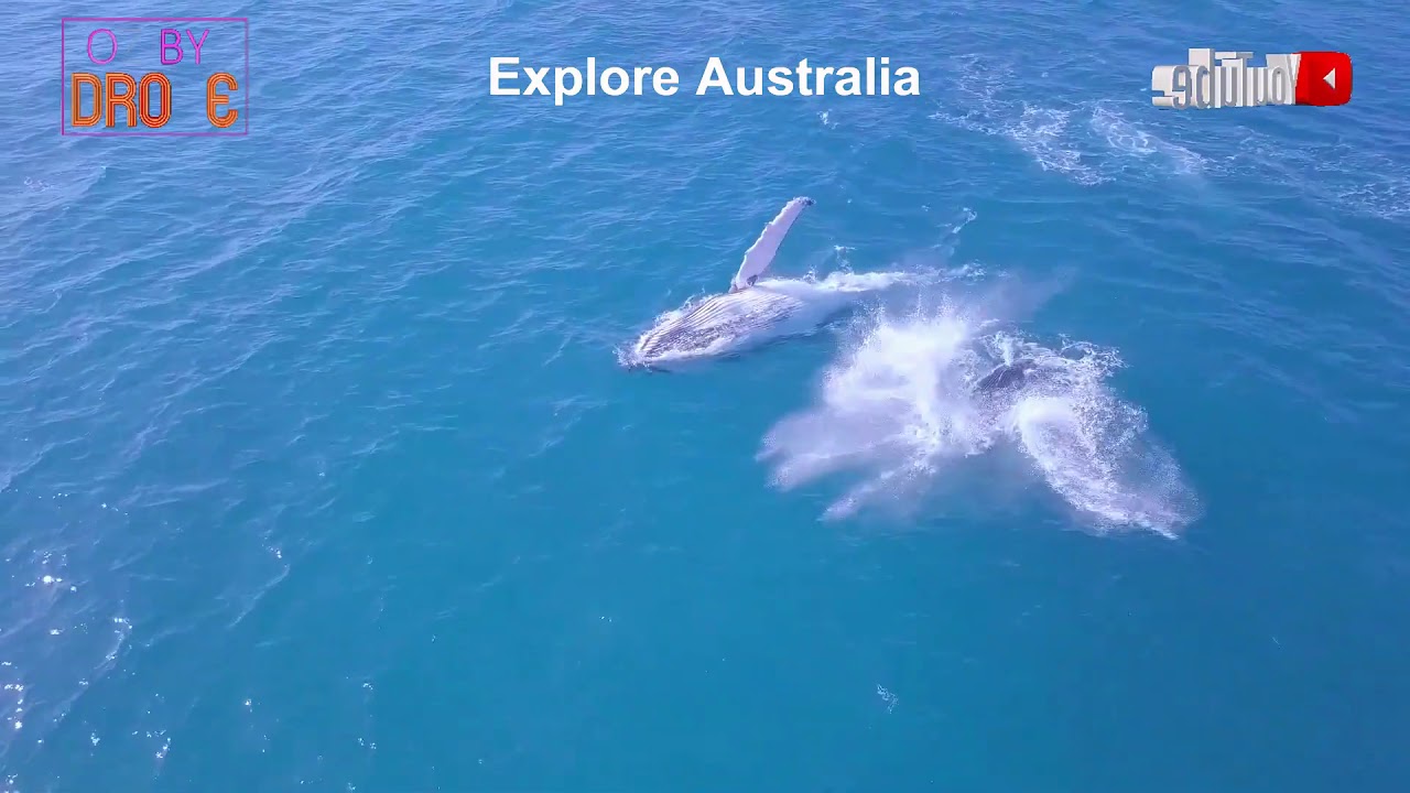 quadcopter dynamics Explore Australia 21-Oct-2018