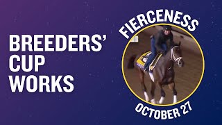 FIERCENESS Gallops at Del Mar October 27th