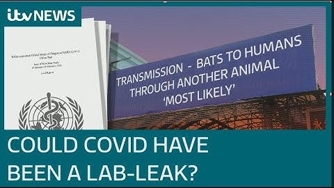 Possibility Covid-19 came from a lab needs further investigation, WHO says | ITV News