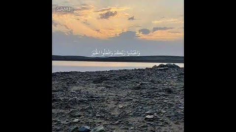 يَا أَيُّهَا الَّذِينَ آمَنُوا ارْكَعُوا وَاسْجُدُوا|سورة الحج|ايه٧٧|القارئ عبدالرحمن مسعد