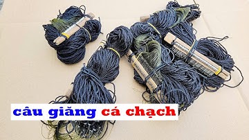 Bán bộ câu giăng cá chạch, cá chạch lấu giao hàng toàn quốc