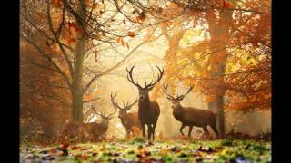 Tears In Heaven - Andy Downs