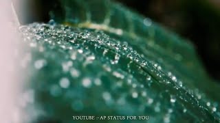 Kabhi Jo Badal Barse || Whatsapp status || Barish status || AP status for you || Rain status