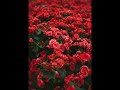 幻想の花(BUCK-TICK Cover)