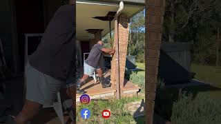 House demolition🏠❤️ #australia #building #garden #gardeningaustralia #gardeningideas #gardenin