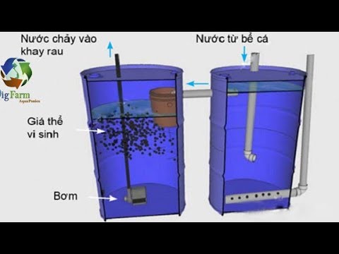 Video AQ-Thiết kế bộ lọc thô cho hồ Aquaponics - Mini filter... - youtube