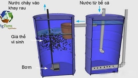 AQUAPONICS-Thiết kế BỘ LỌC thô cho hệ Aquaponics - Mini filter design for aquarium Aquaponics...
