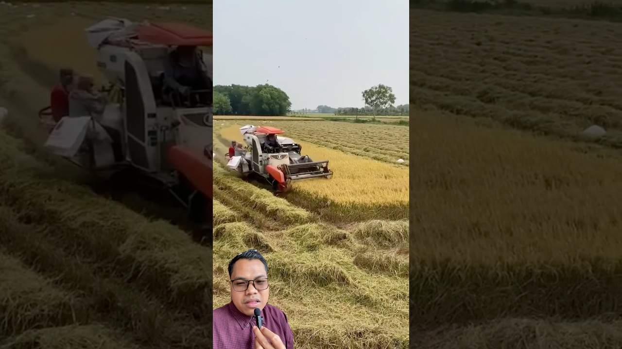 Kekurangan Combine Harvester untuk Petani Indonesia 