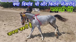 मारवाड़ी घोड़े खरीदने से पहले ये विडियो जरूर देंखे   Balotra Tilwada Horse Pashu Mela Fair Market 2023