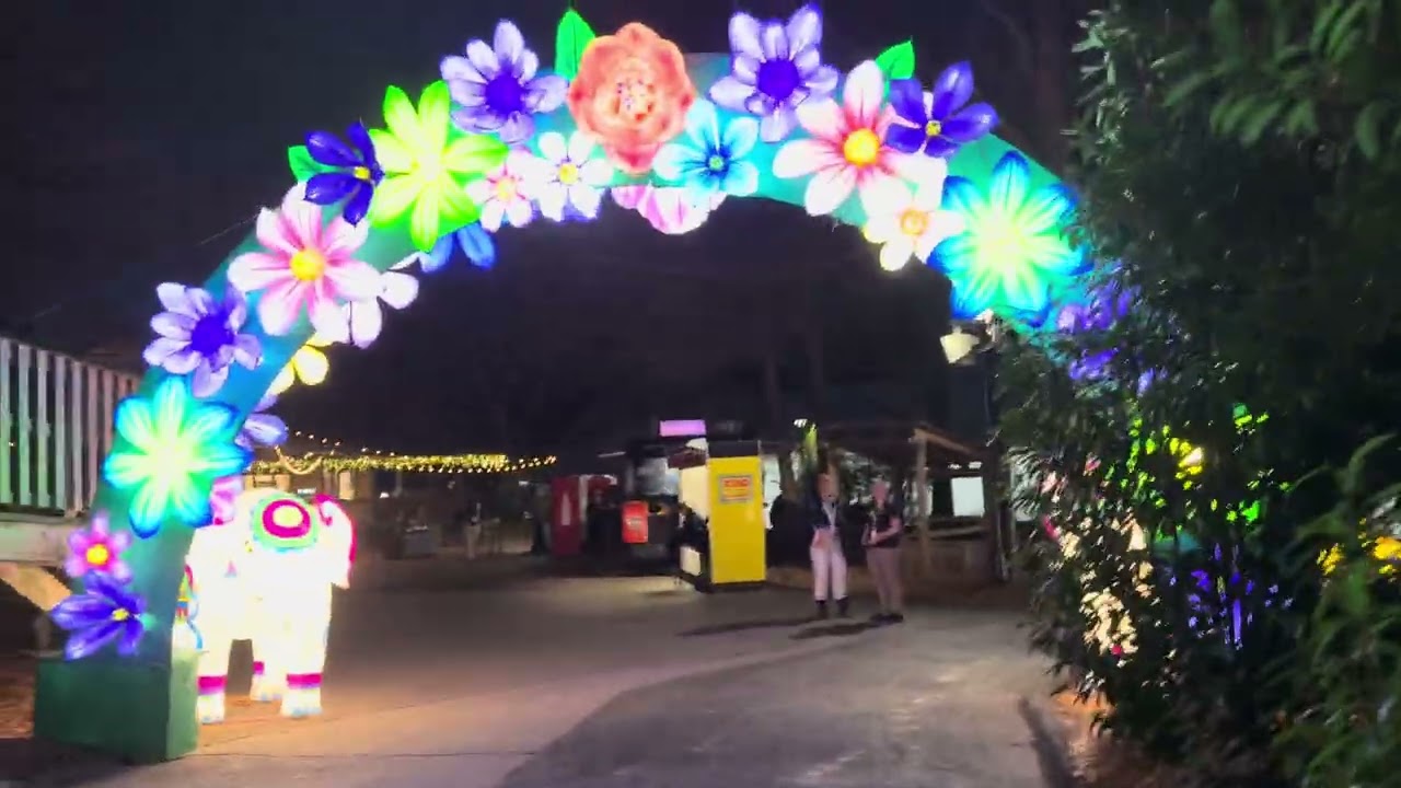 Aprè tout konplo ki te fèt sou dom poum te mouri oswa perdu nan prison ebyen men mwen ret branché🫶🏾