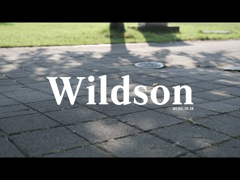 ᴘʟᴀʏʟɪꜱᴛ 출근 길에 듣기 좋은 Wildson 의 트렌디하고 감성 넘치는 음악 