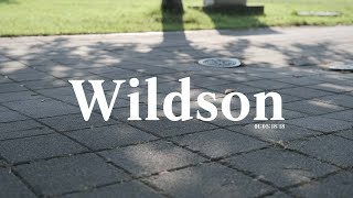 ᴘʟᴀʏʟɪꜱᴛ 출근 길에 듣기 좋은 'Wildson'의 트렌디하고 감성 넘치는 음악🎧