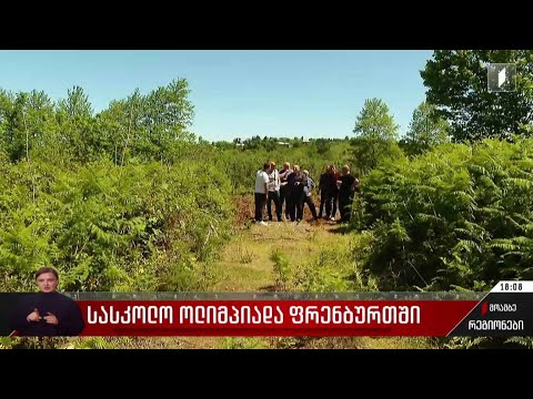 დავა საკარმიდამო ნაკვეთებზე