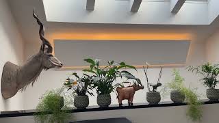 I En Villa I Charlottenlund, Har Vi Løst Deres Støjproblemer Med Alpha Solo