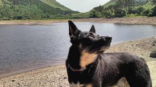 Thirlmere II Peaceful Relaxing Music