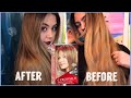 REVLON Colorsilk 60- Dark Ash Blonde | Full Demo &amp; Results | As Told By Abby
